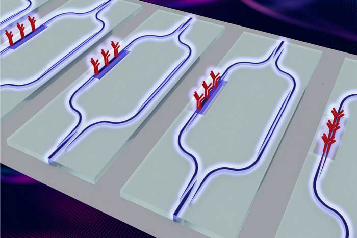 An illustration of the rectangular chip surface showing blue strip waveguides and red Y-shaped slots on the blue strips.